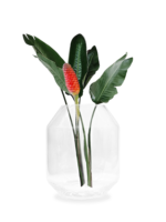 Florero Costanova, G